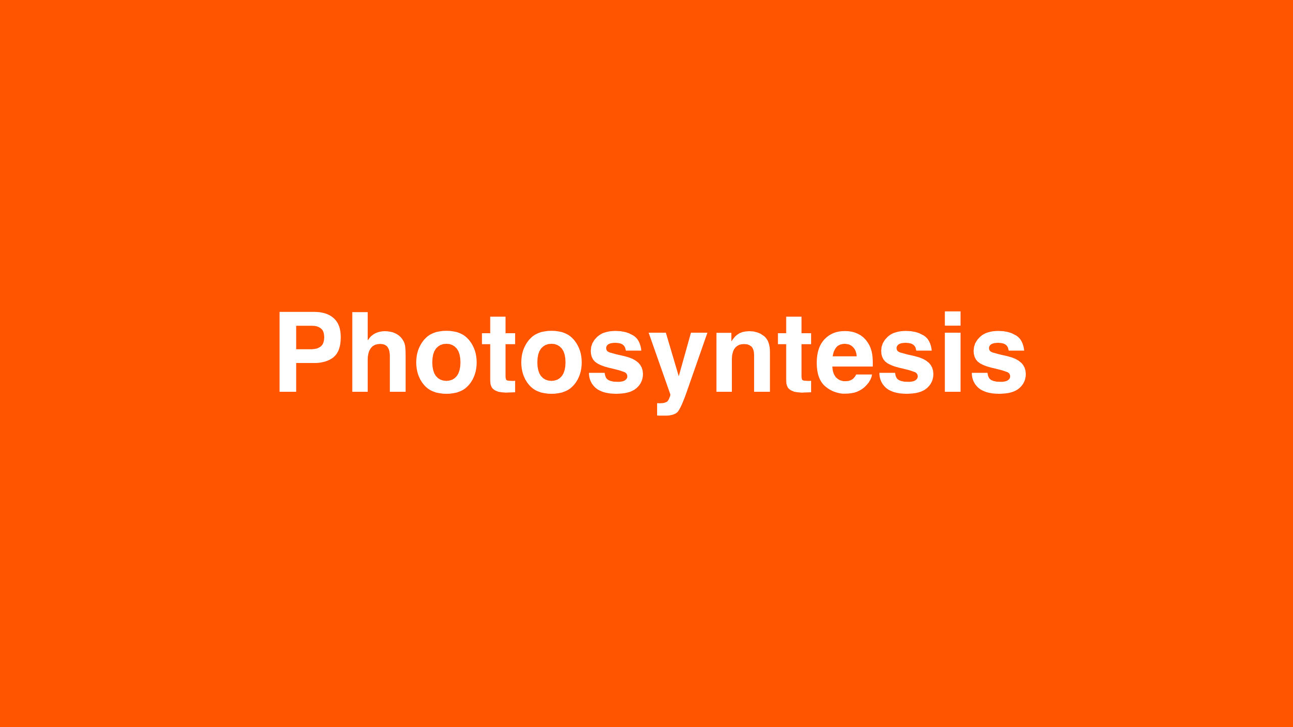Photosyntesis